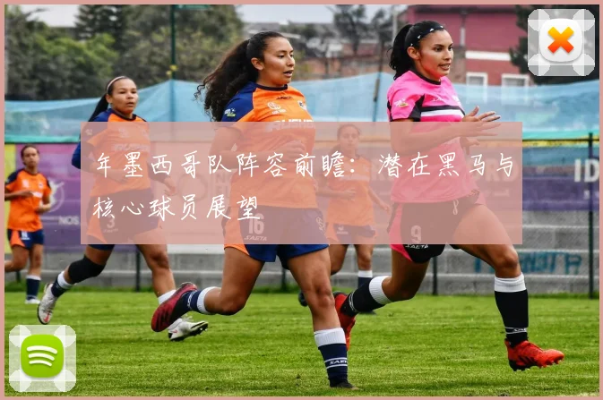 年墨西哥队阵容前瞻：潜在黑马与核心球员展望